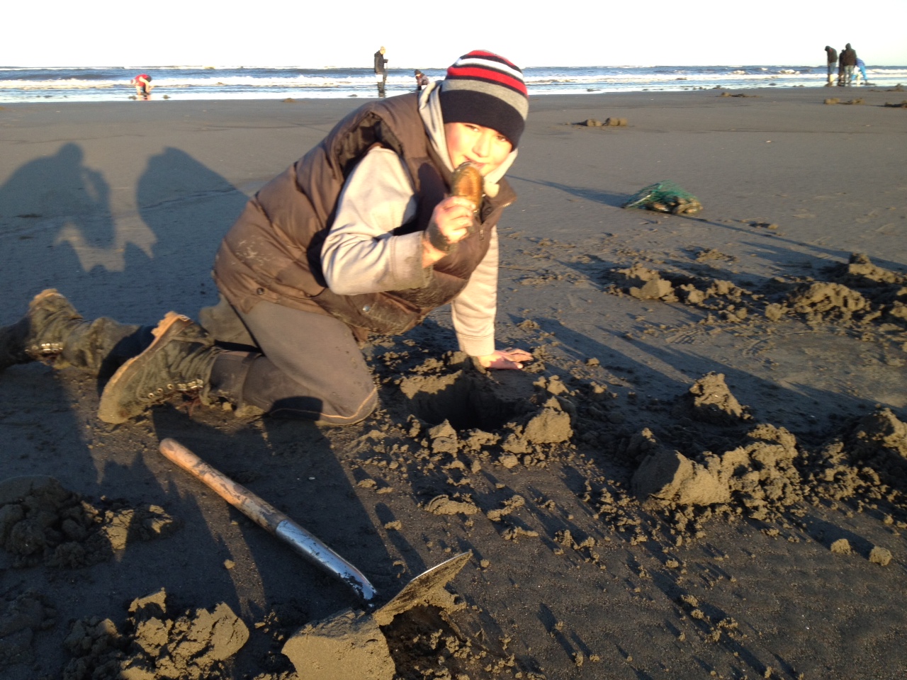 Razor Clam Diggers Hit Coastal Washington Beaches ThurstonTalk