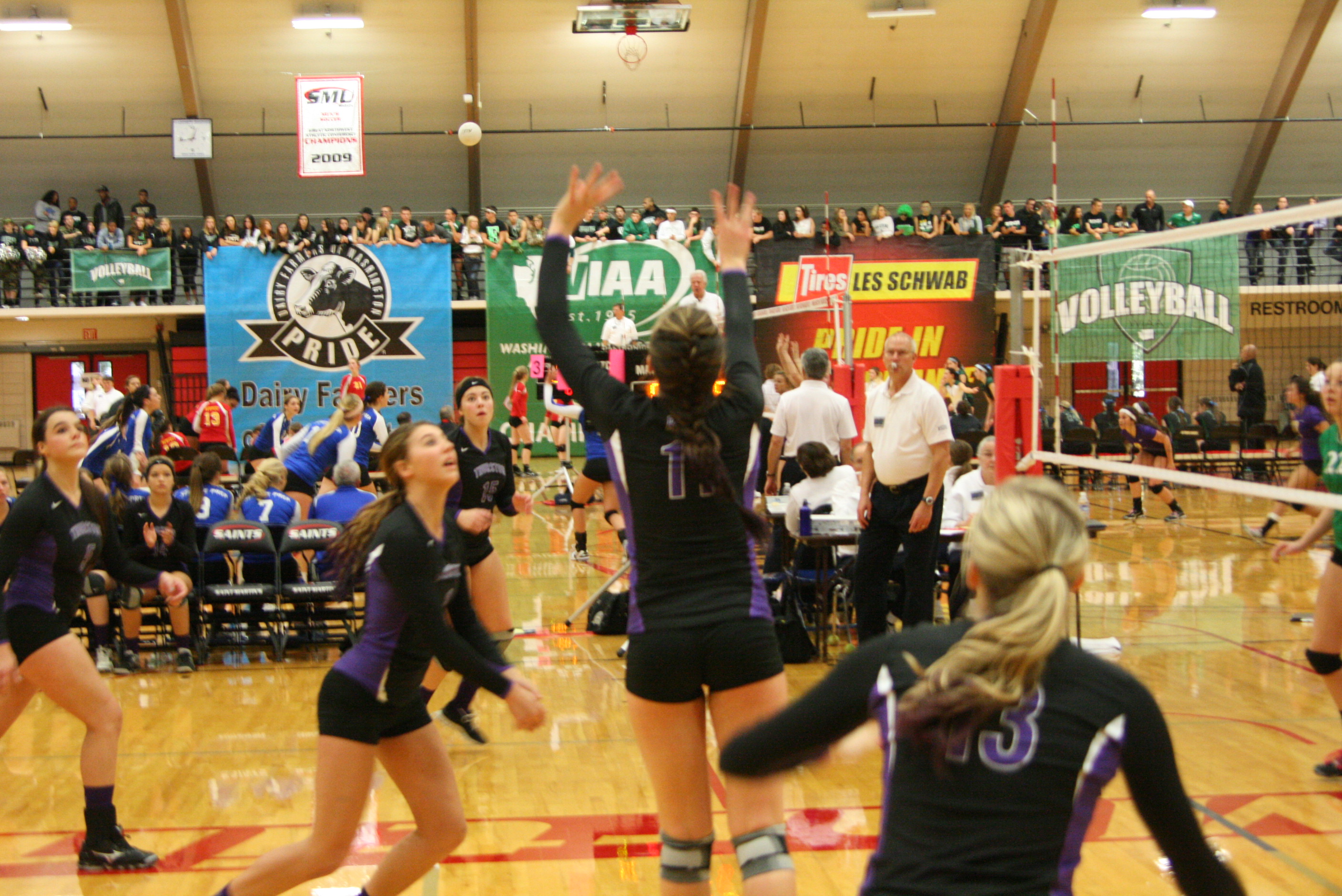 North Thurston High School Volleyball Advances In State Tournament