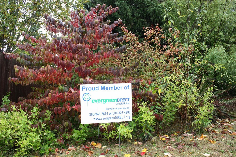 Make Your Summer Epic with the Summer Freedom Loan from evergreenDIRECT