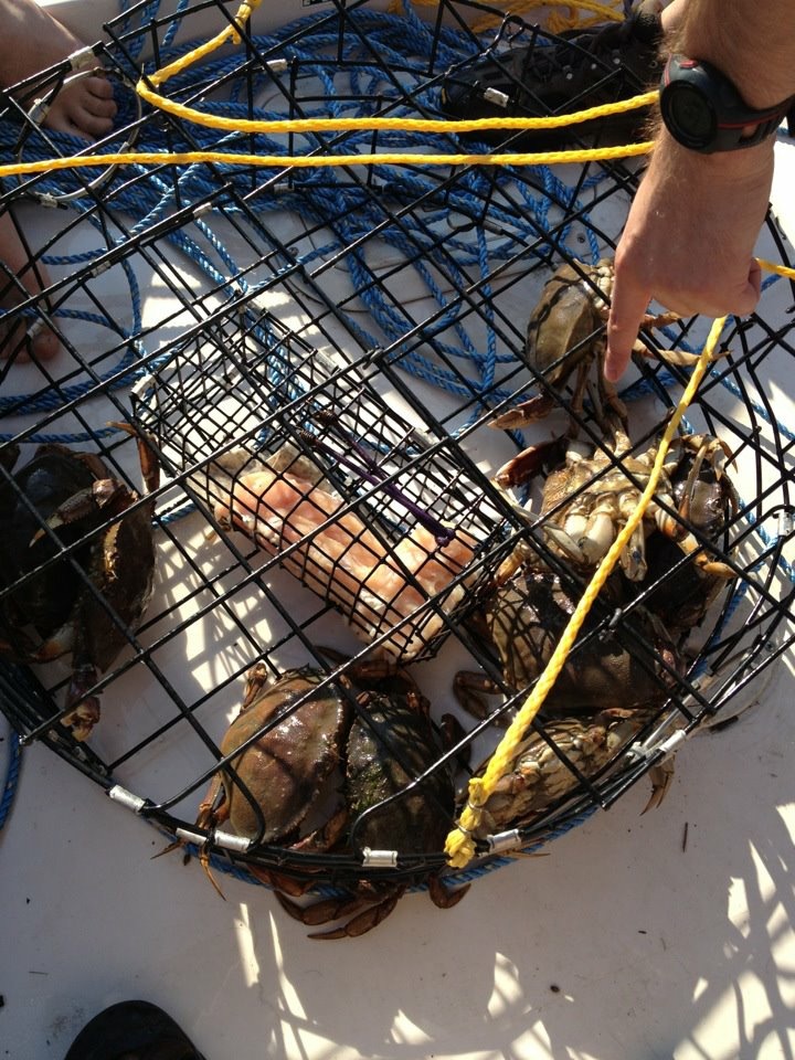 Thrifty Thurston Brings Generations Together through Crabbing at Hood