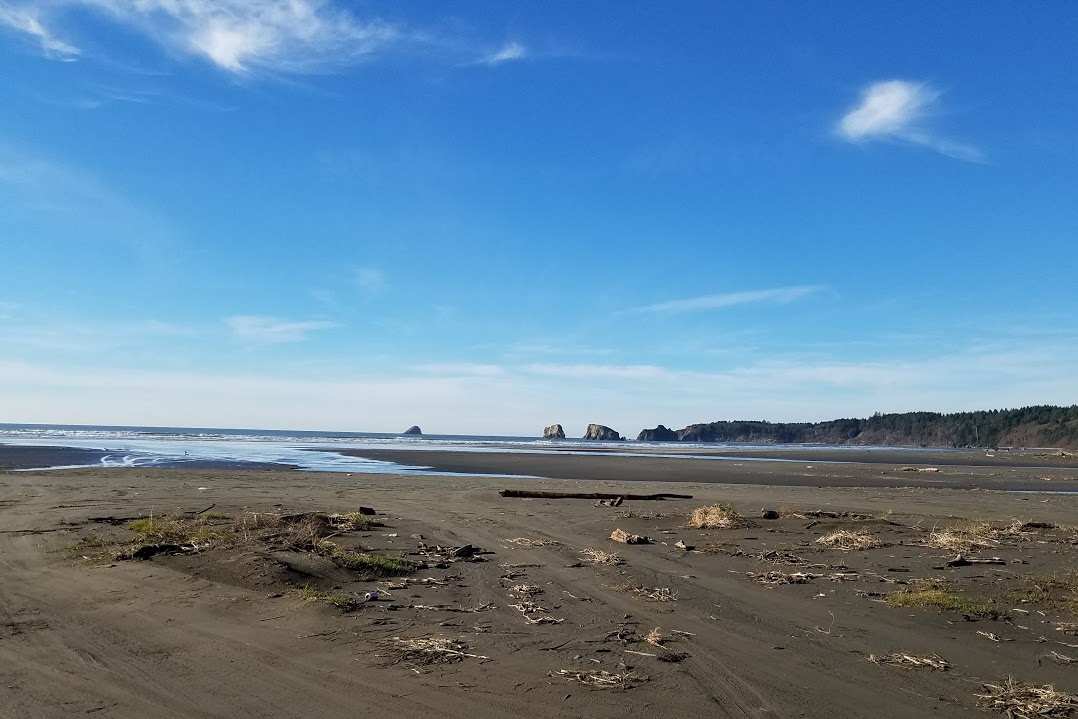 Top 5 Spots to in Grays Harbor ThurstonTalk