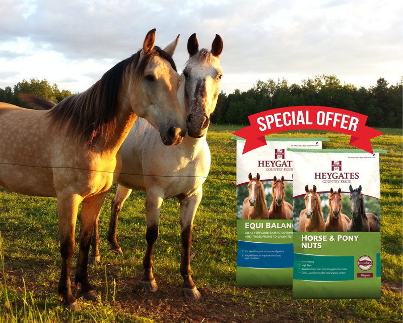 Discounts on Horse Feed and More at Marlborough Country Store T H
