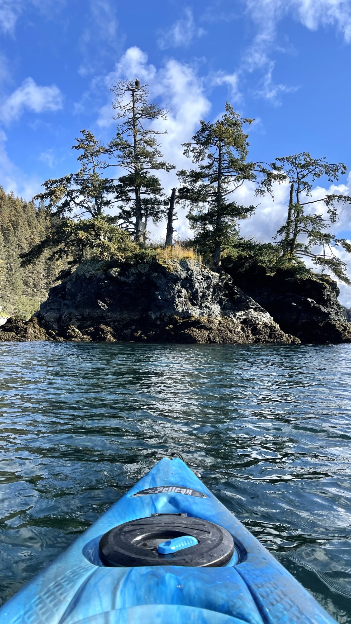 Seldovia Kayaks Rental Paddleboards for Rent Seldovia