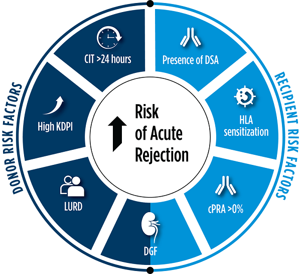 Acute Kidney Transplant Rejection