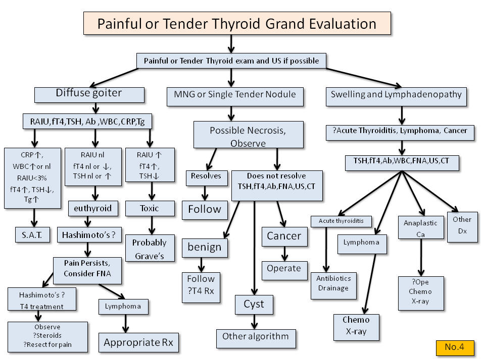 Painful or Tender Thyroid Gland Evaluation Thyroid Disease Manager