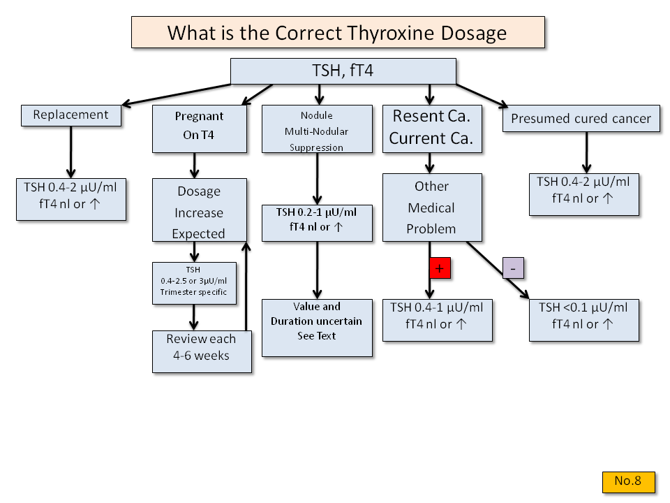 What is the Correct Thyroxine Dosage? - Thyroid Disease Manager