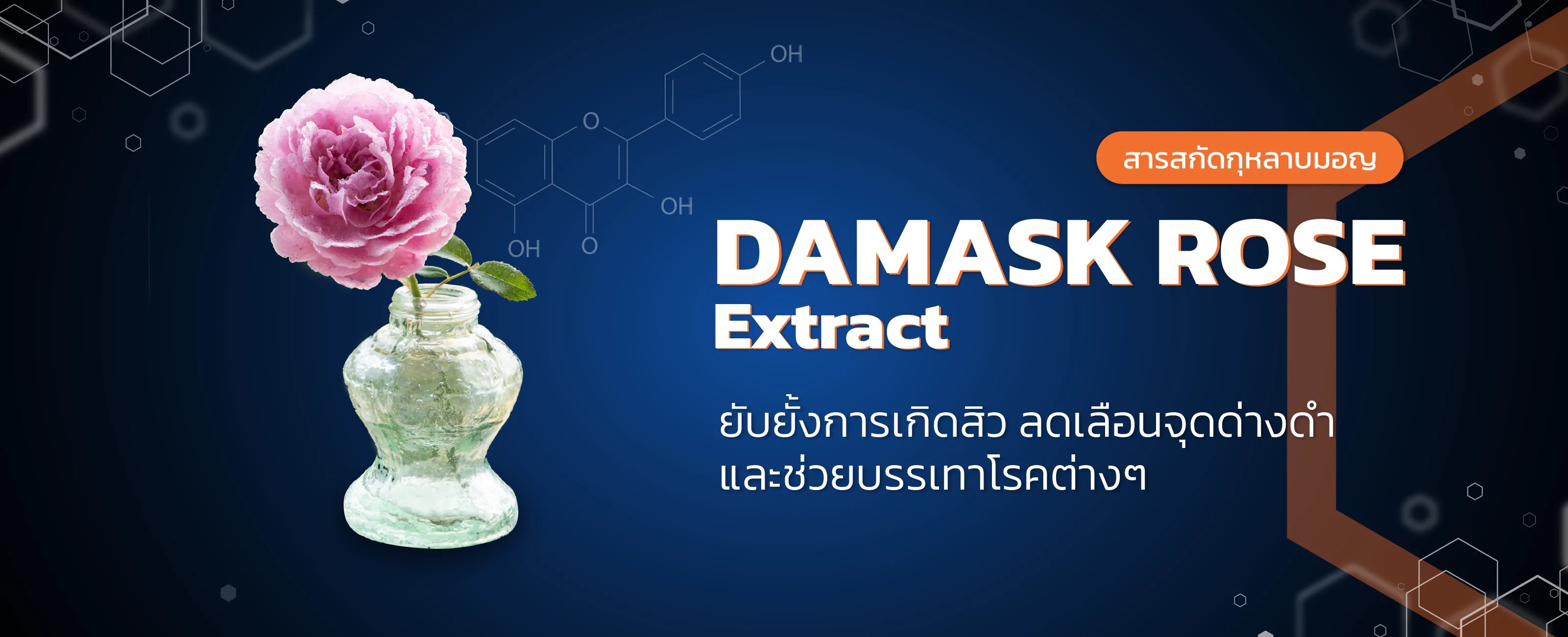 สารสกัดกุหลาบมอญ (Damask Rose Extract) TIBD Co., Ltd.