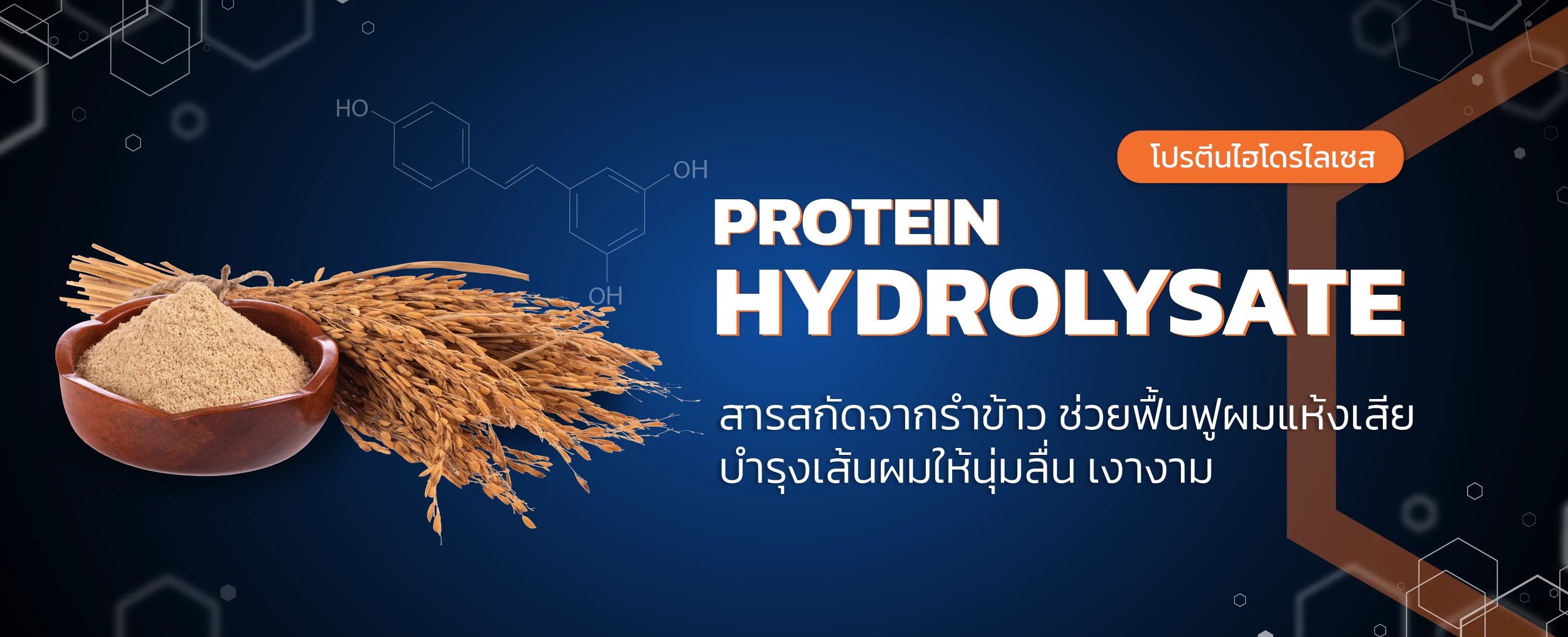 โปรตีนไฮโดรไลเซส (Protein Hydrolysate) TIBD Co., Ltd.