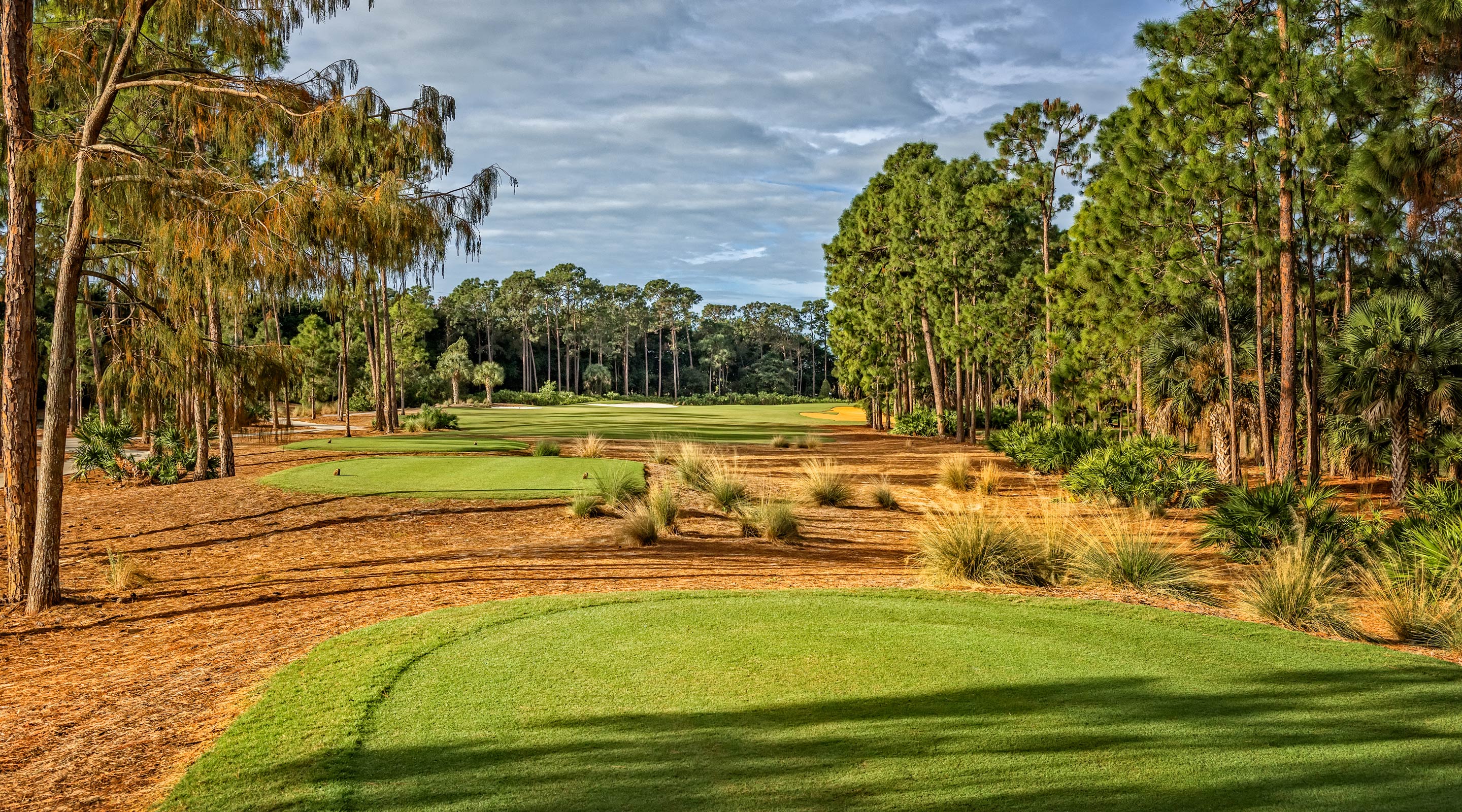 Tiburón Golf Club The Ultimate Golf Experience.