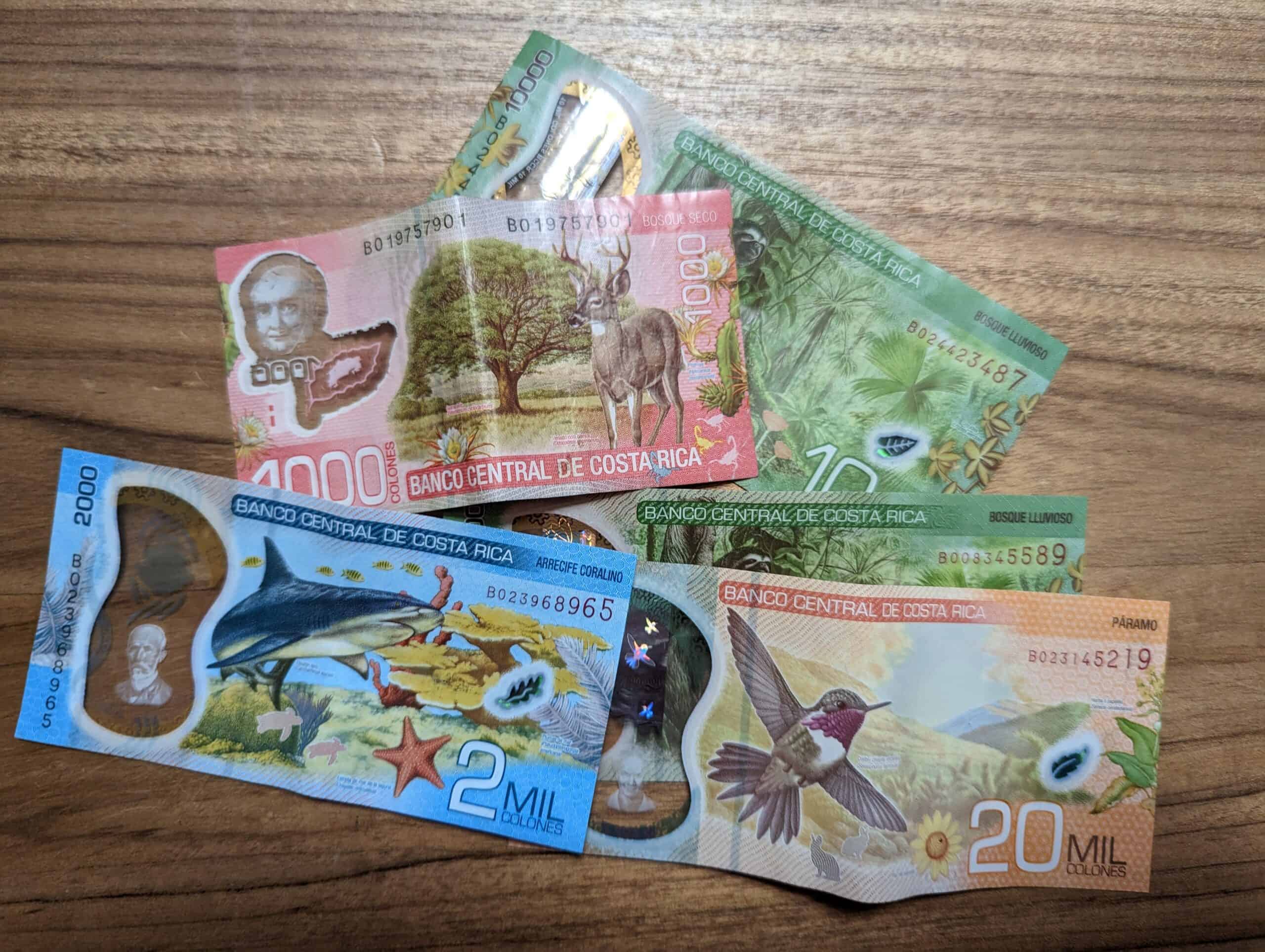 Costa Rica Money Tico Lingo Spanish School in Costa Rica