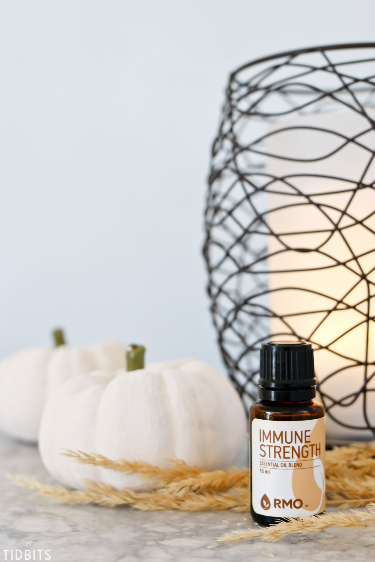 The Most Delightful 10 Fall Essential Oil Diffuser Blends Tidbits
