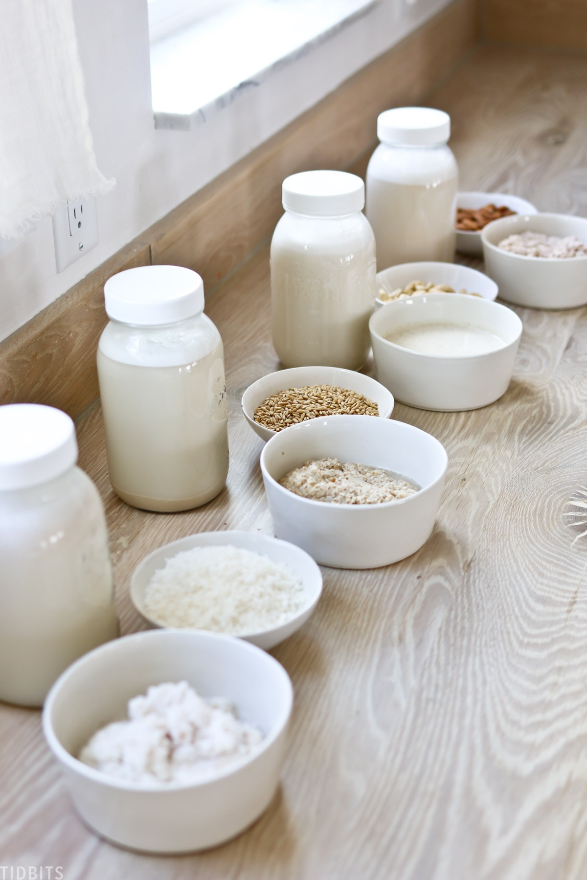 How to Make Almond Milk, Cashew Milk, Oat Milk and Coconut Milk CRAZY