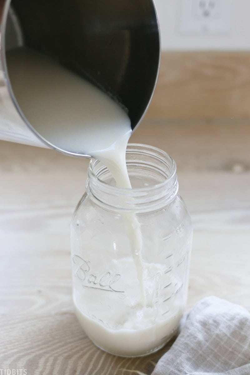 How to Make Almond Milk, Cashew Milk, Oat Milk and Coconut Milk CRAZY