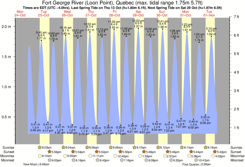 Tide Times and Tide Chart for Fort River (Loon Point)