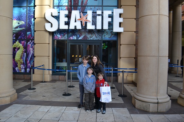 Our family visit to Sea Life Manchester tidylife