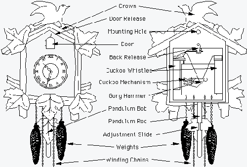 How To Clean A Cuckoo Clock | www.tidyhouse.info