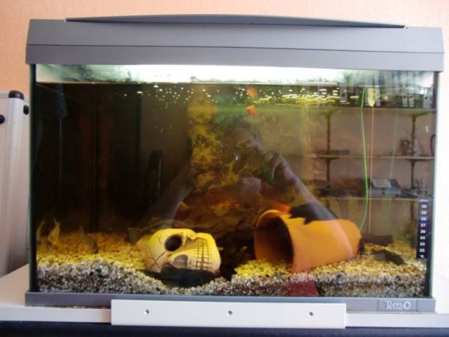 Tetra AquaArt 60 Liter Tropical AquariumKomplettSet