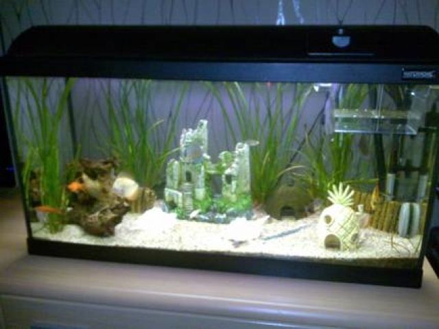 120 Liter Aquarium von Waterhome!!!