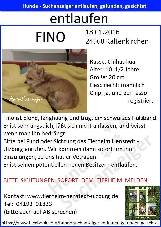 Vermisstenanzeige Vorlage Katze Vermisst Anzeige Katze Vermisst