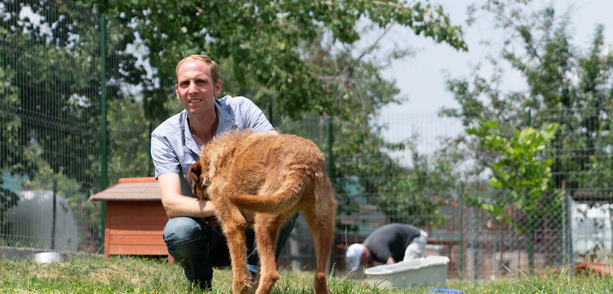 SWR1 Leute Matthias Schmidt Leitet in Rumänien größtes Tierheim der