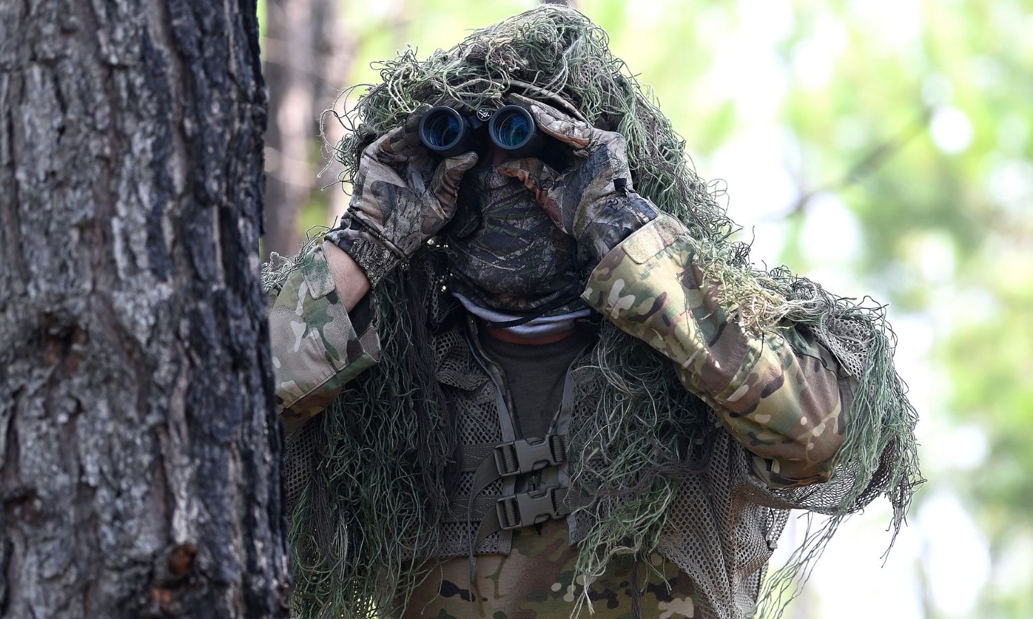15 Best Budget Binoculars for Hunting and Tactical Use Tier Three