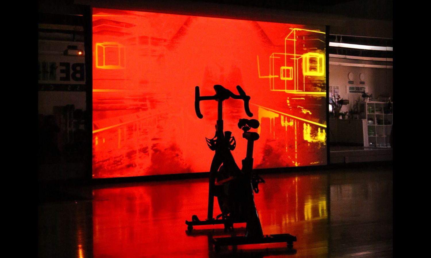 The Best Exercise Bike to Lose Weight is a Video Game (Zwift) Tier