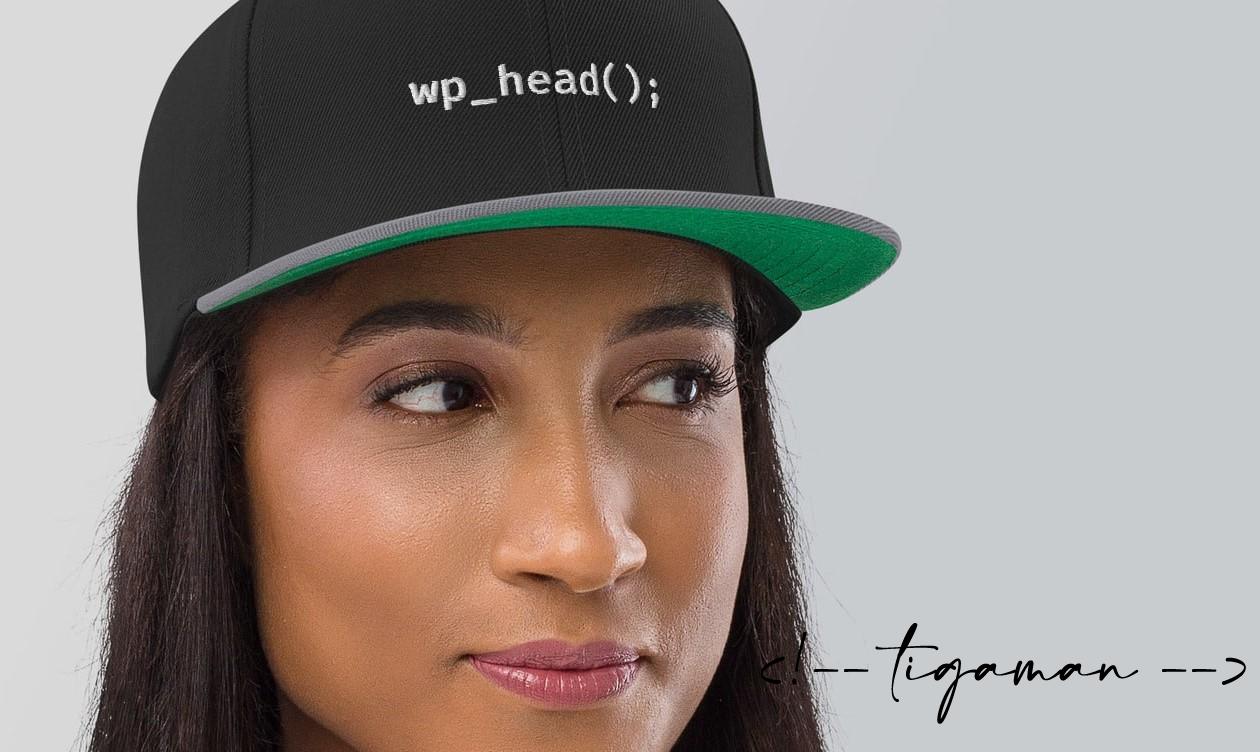 Add custom code to wordpress head wordpress plugin / tigaman