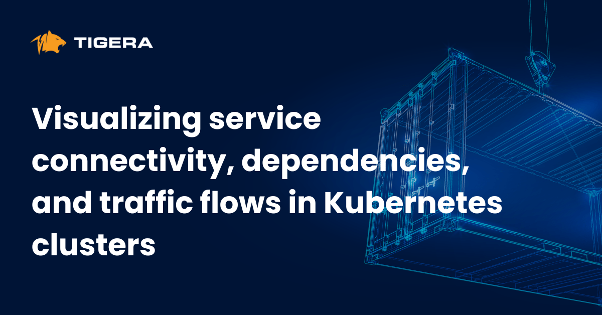 Visualizing service connectivity, dependencies, and traffic flows in