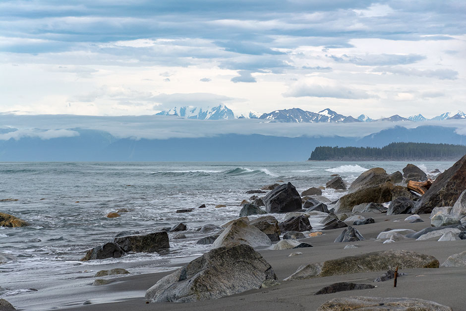 Revival in Yakutat Logging in Alaska Between the Branches Tigercat