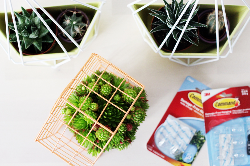 How to use command strips for the home Tigerlilly Quinn