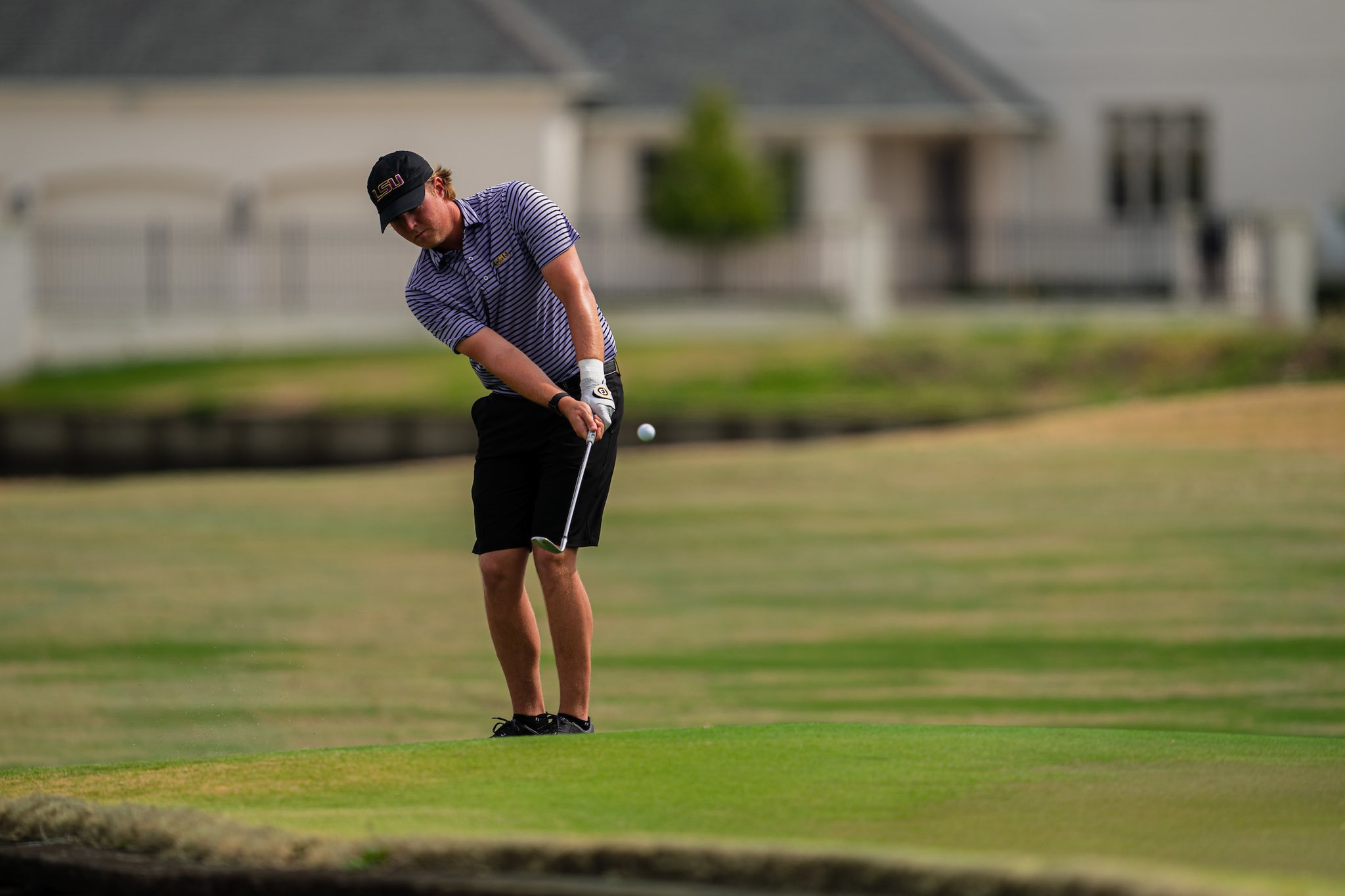 LSU men’s golf looks to defend Jim Rivers team title Tiger Rag