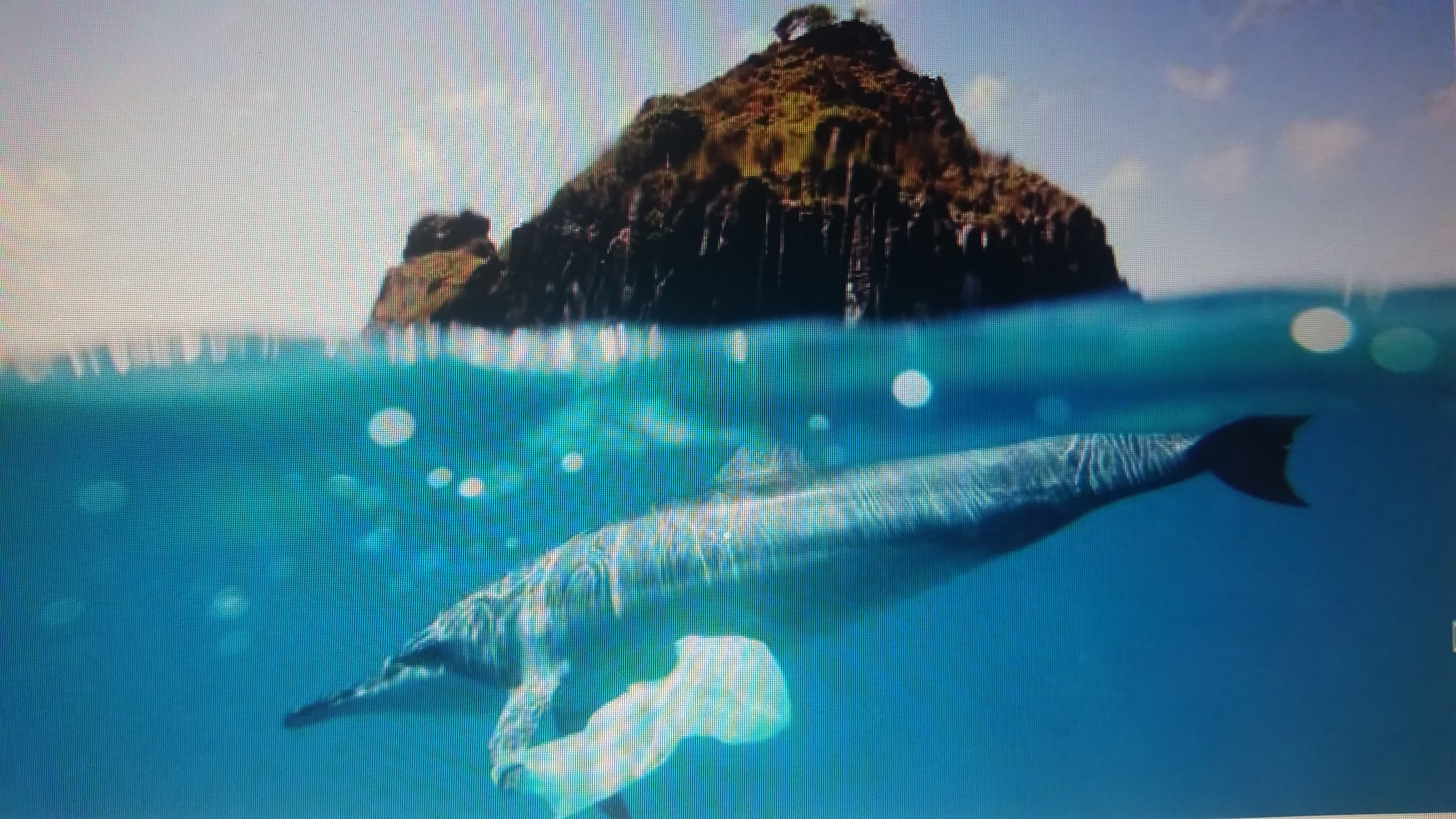 😍 Water pollution marine life. How Ocean Pollution Impacts Marine Life