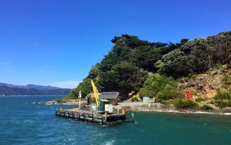 Visiting Matiu Somes Island A Short Guide Tiki Touring Kiwi