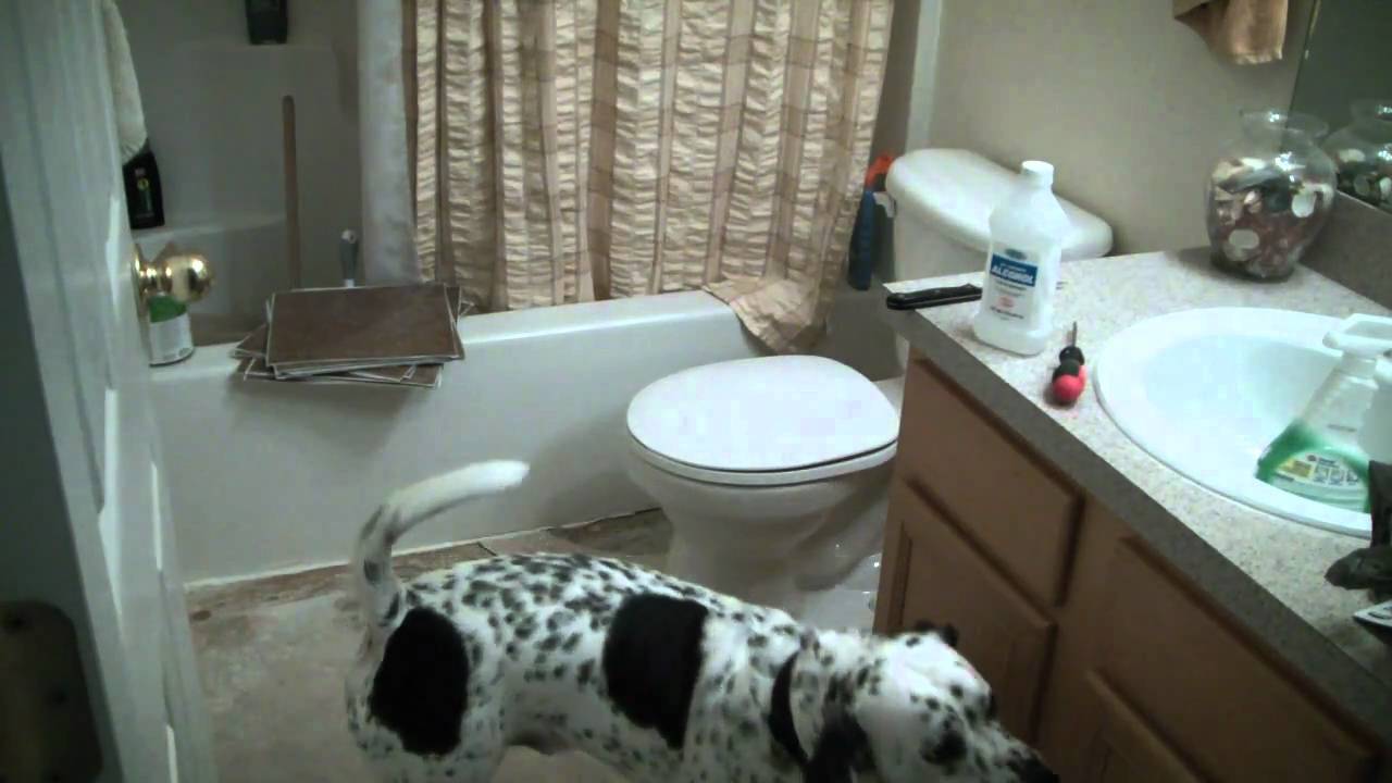 30 cool pictures and ideas of vinyl wall tiles for bathroom