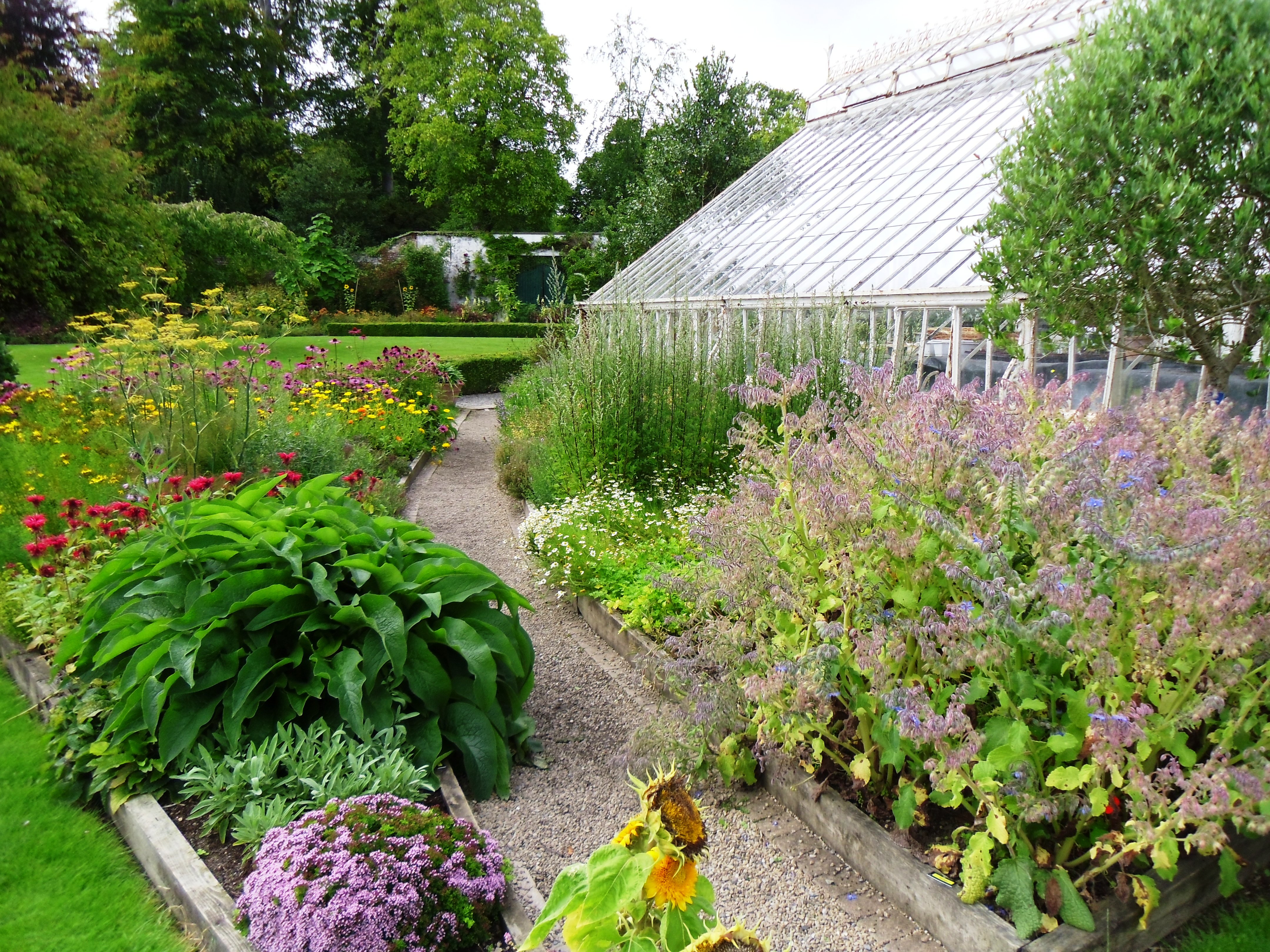 Herb garden in Farmleigh House walled garden Tim Austen
