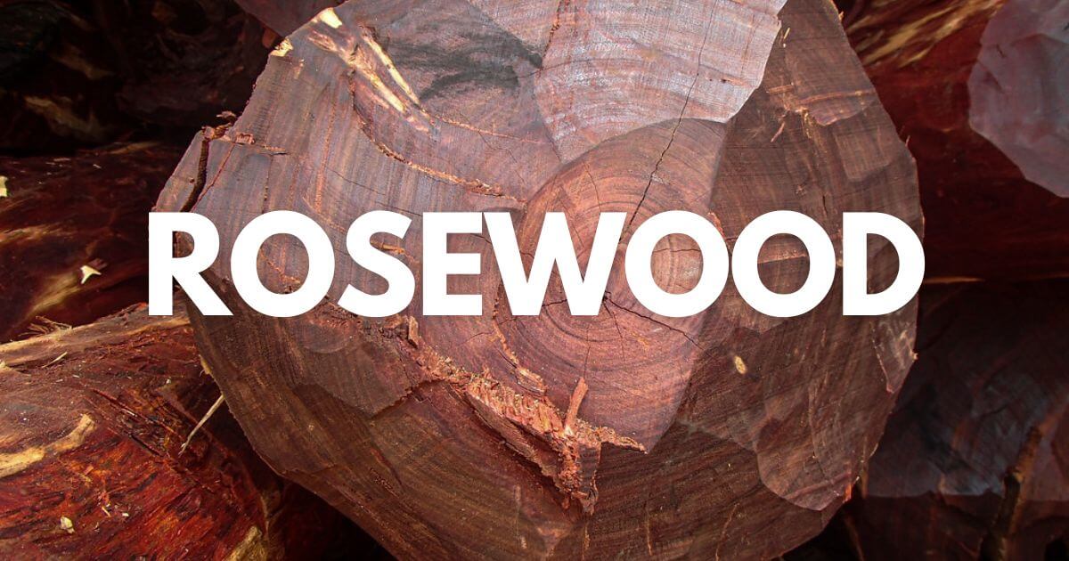 Rosewood Properties Uses, Pros and Cons Timber Blogger