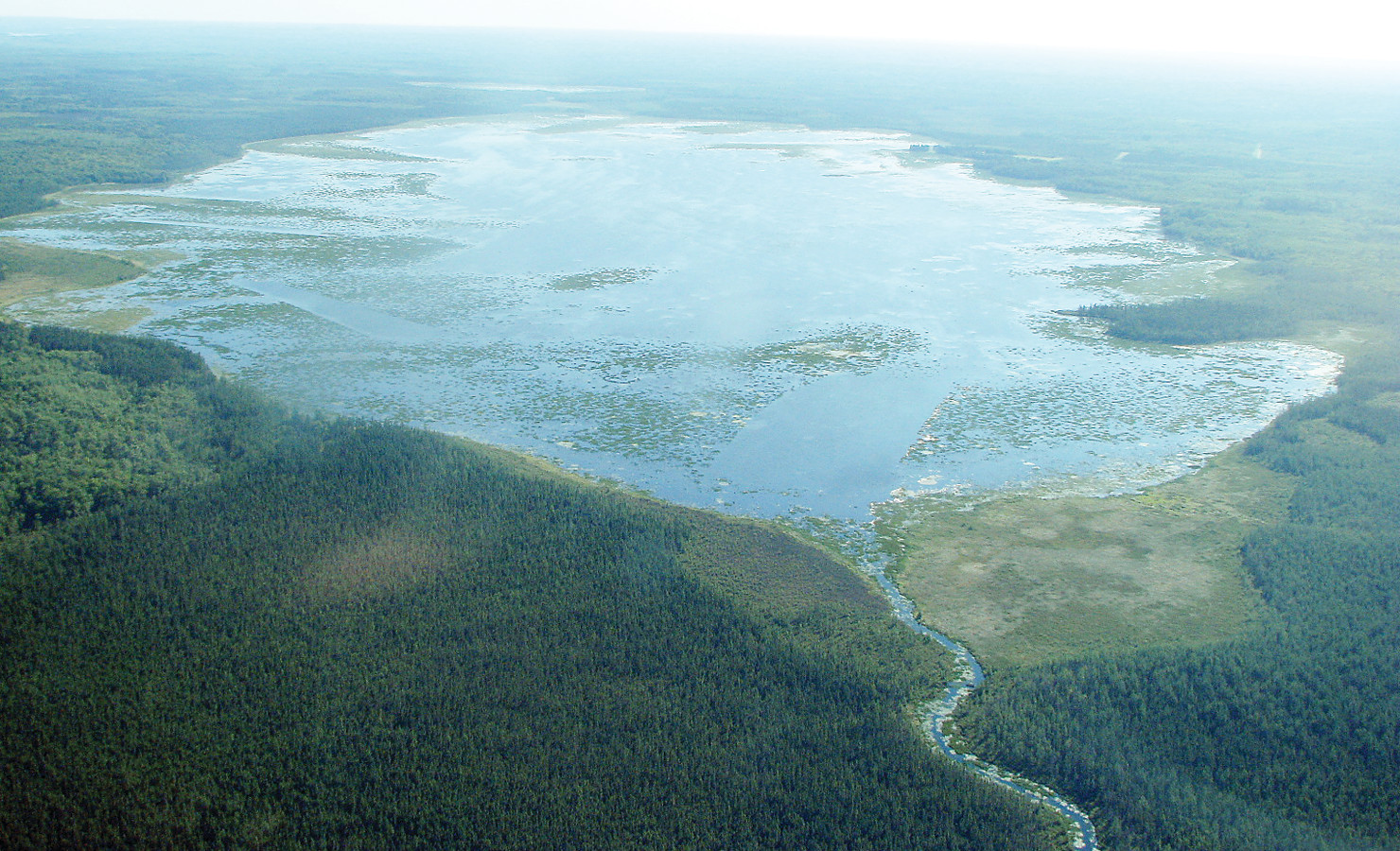 Looking for answers The Timberjay