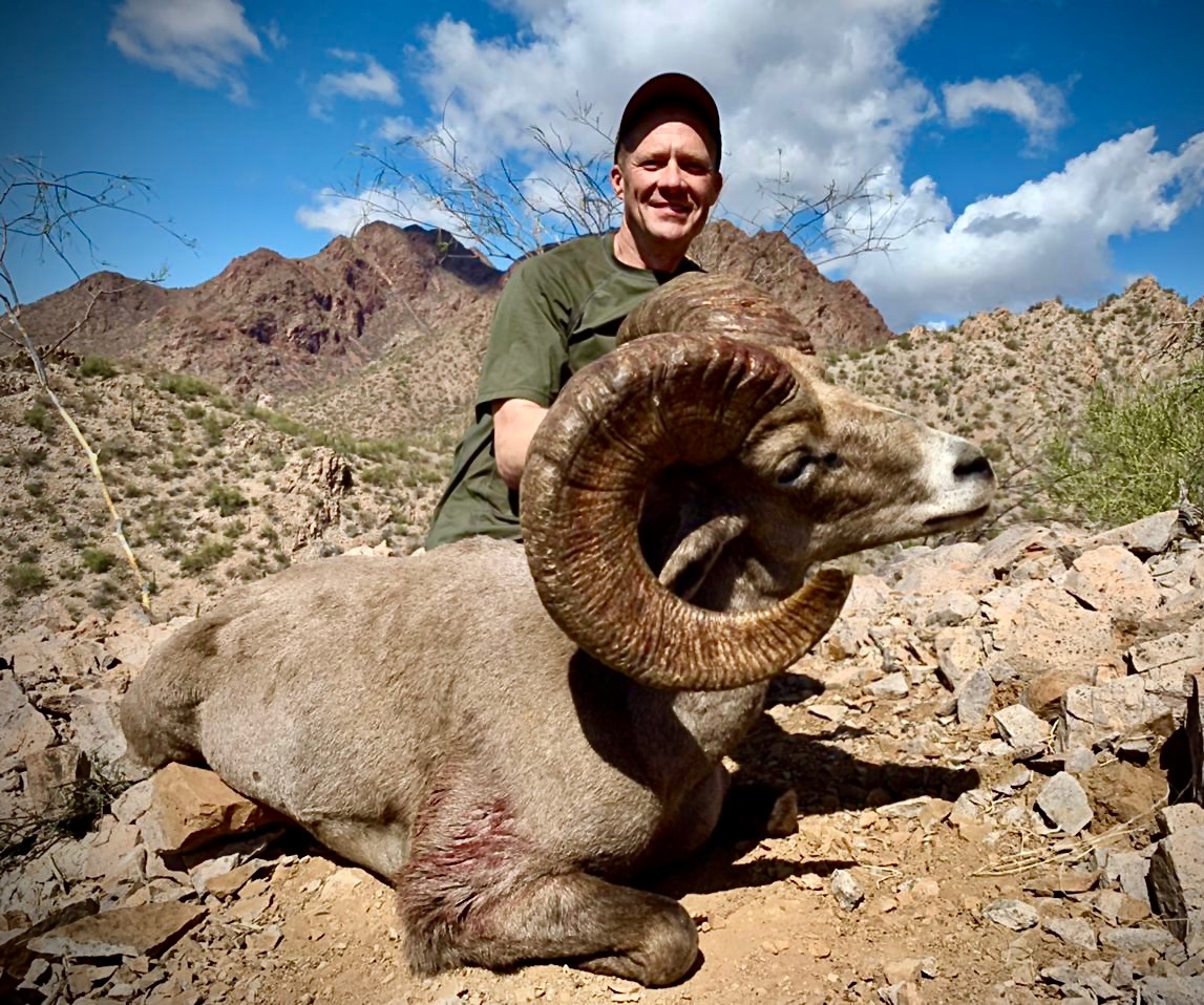 Desert Bighorn Sheep Hunts in Sonora, Mexico Timber King Outfitting
