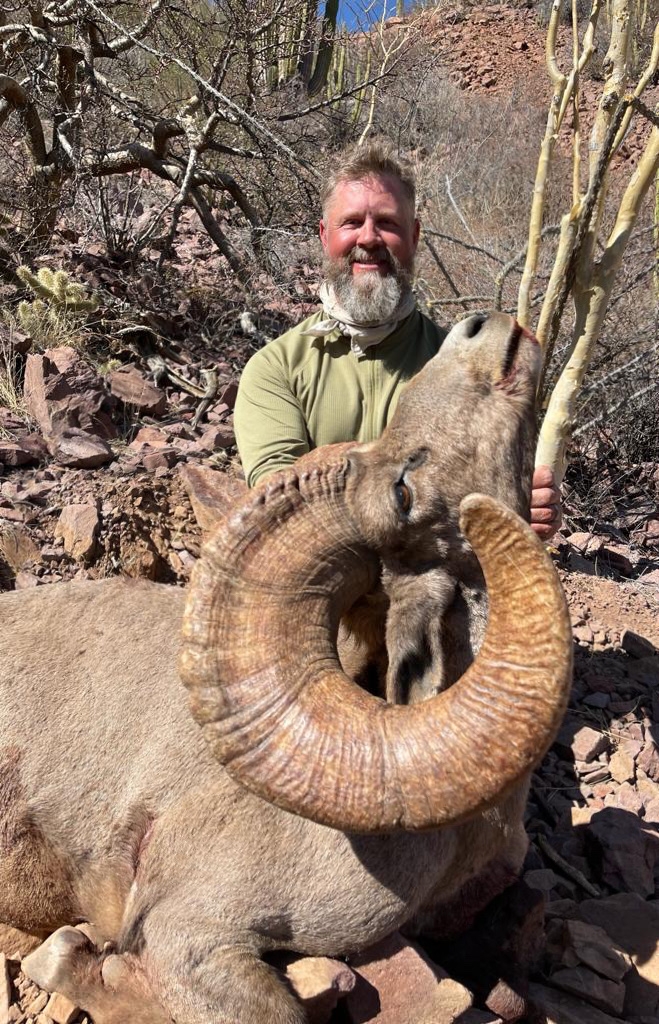 Desert Bighorn Sheep Hunts in Sonora, Mexico Timber King Outfitting