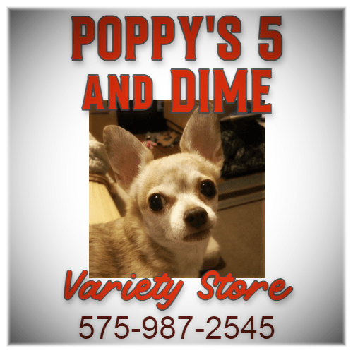 Timberon cam Timberon, New Mexico