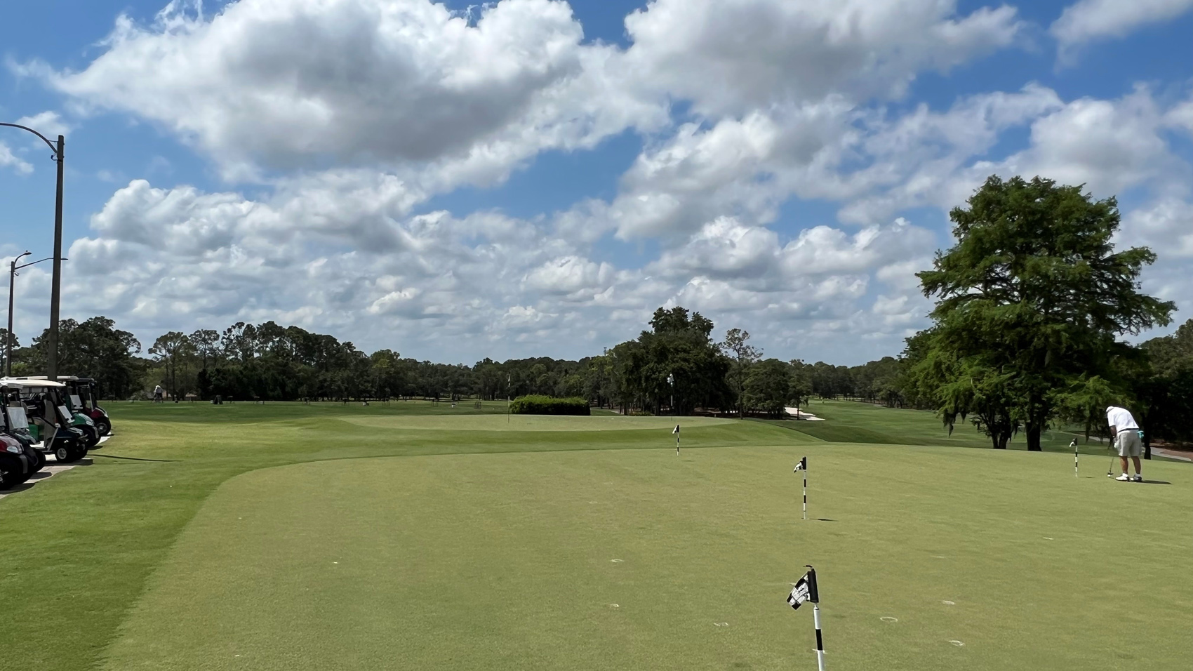 Four Golf Courses at Timber Pines Community Association FL