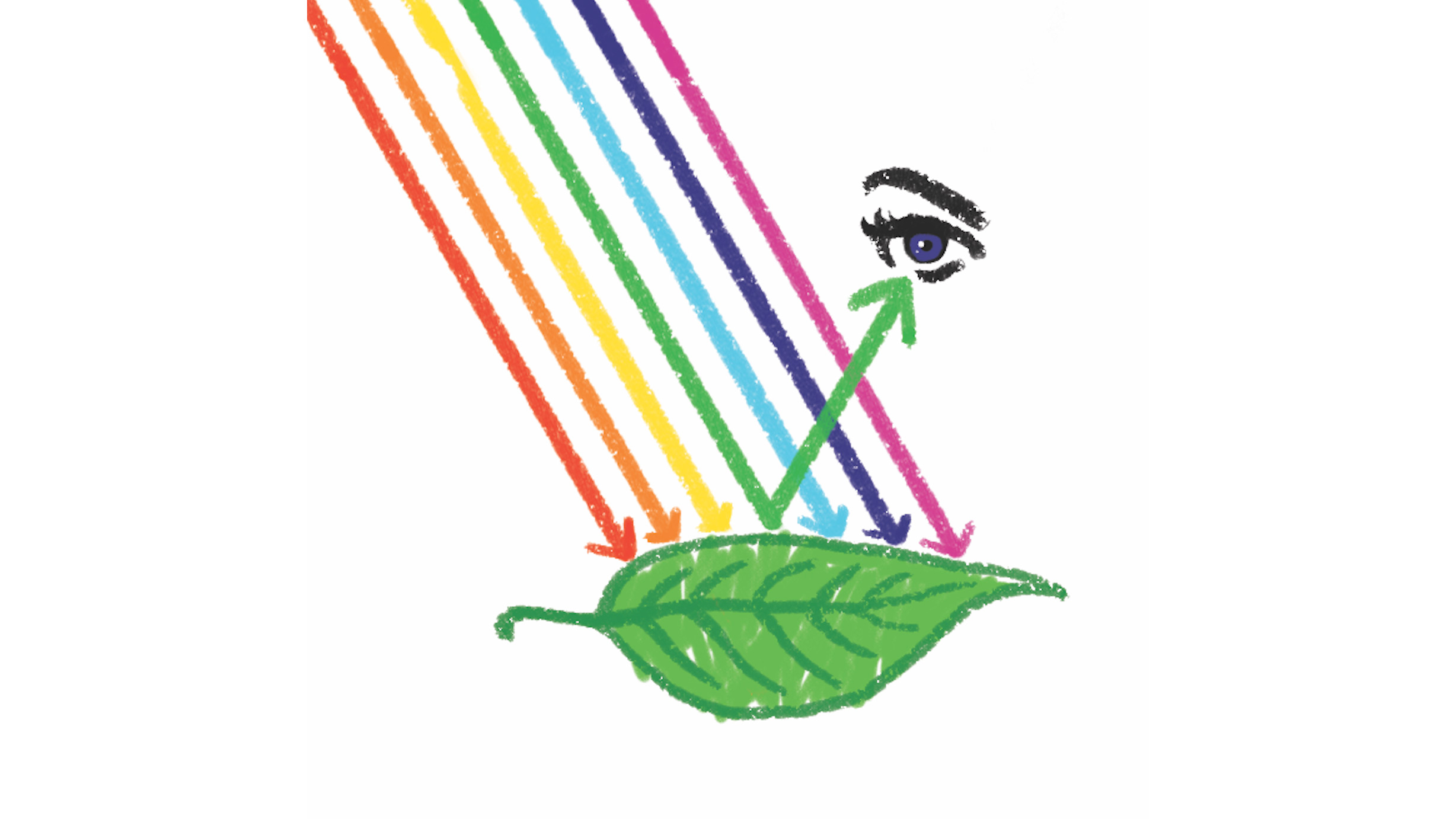 TIME for Kids Seeing Green