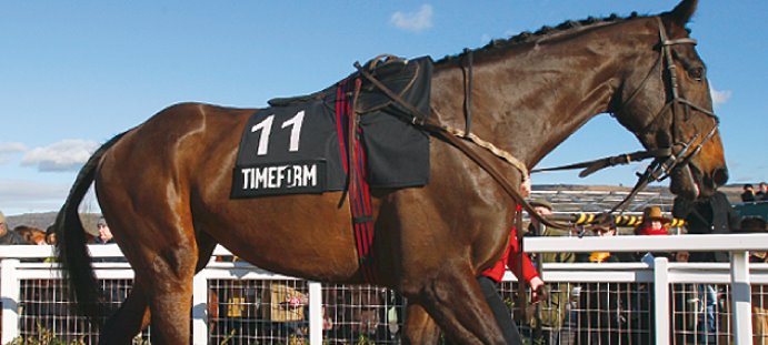 Wolverhampton Race Card Tomorrow