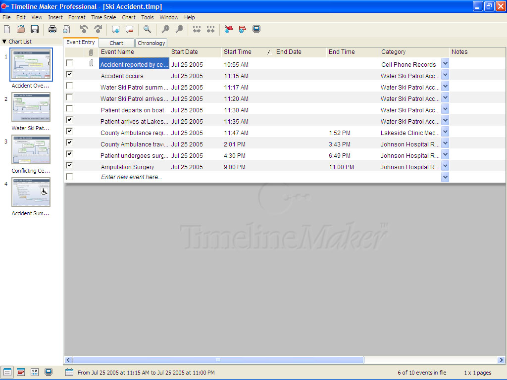 Overview - Timeline Maker Pro | The Ultimate Timeline Software Timeline