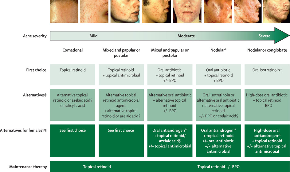 Acne Algorithm from the Global Alliance algorithm to improve