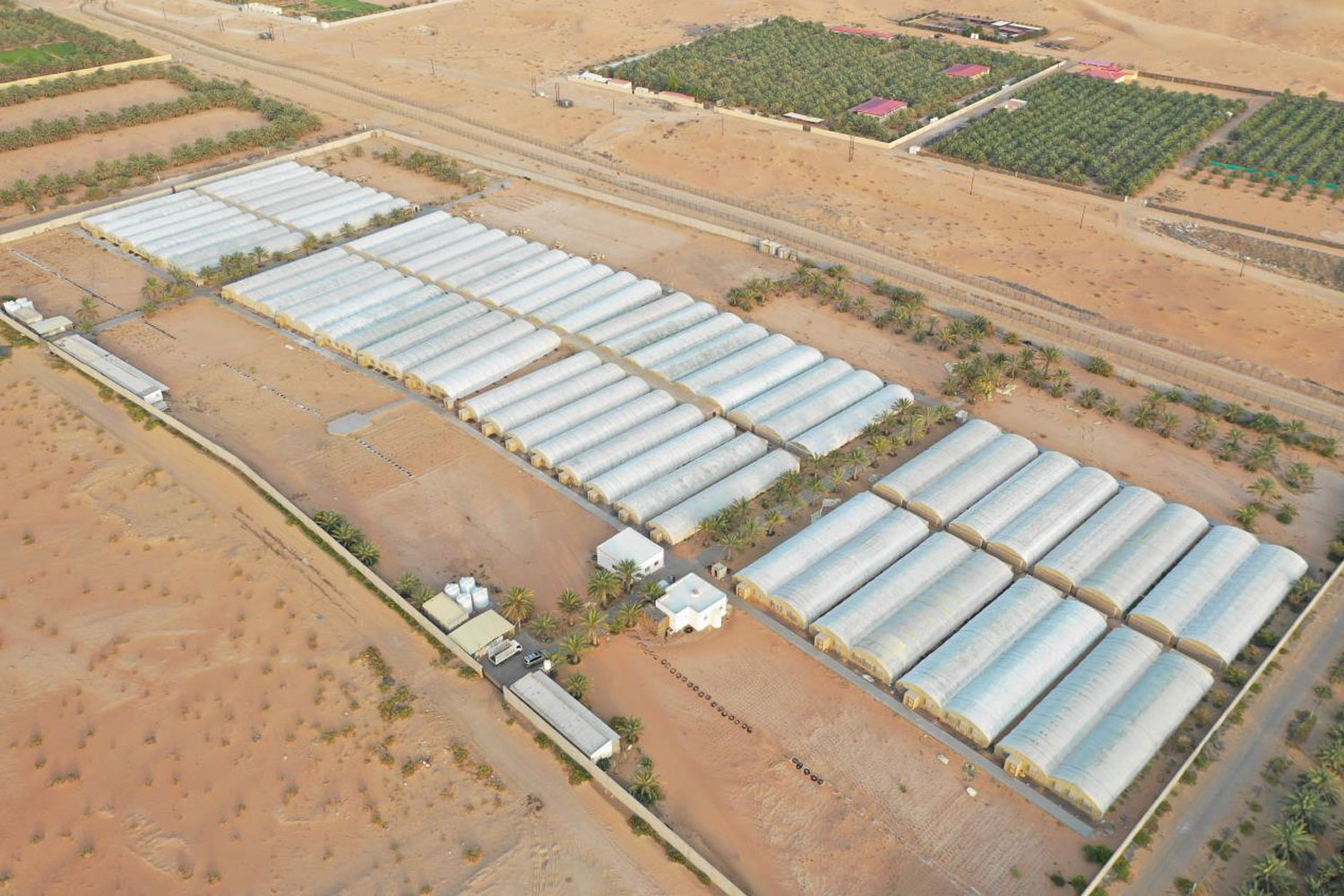 New drive to attract tourists to stay at working farms in the UAE Time Out Abu Dhabi