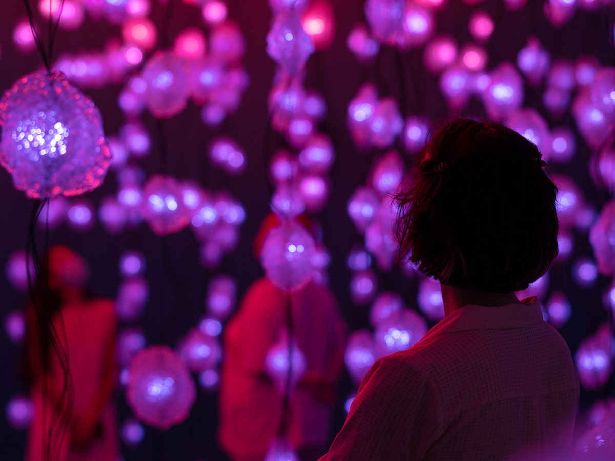 Get behindthescenes access to Qatar Museums with Mathafek Time Out Doha