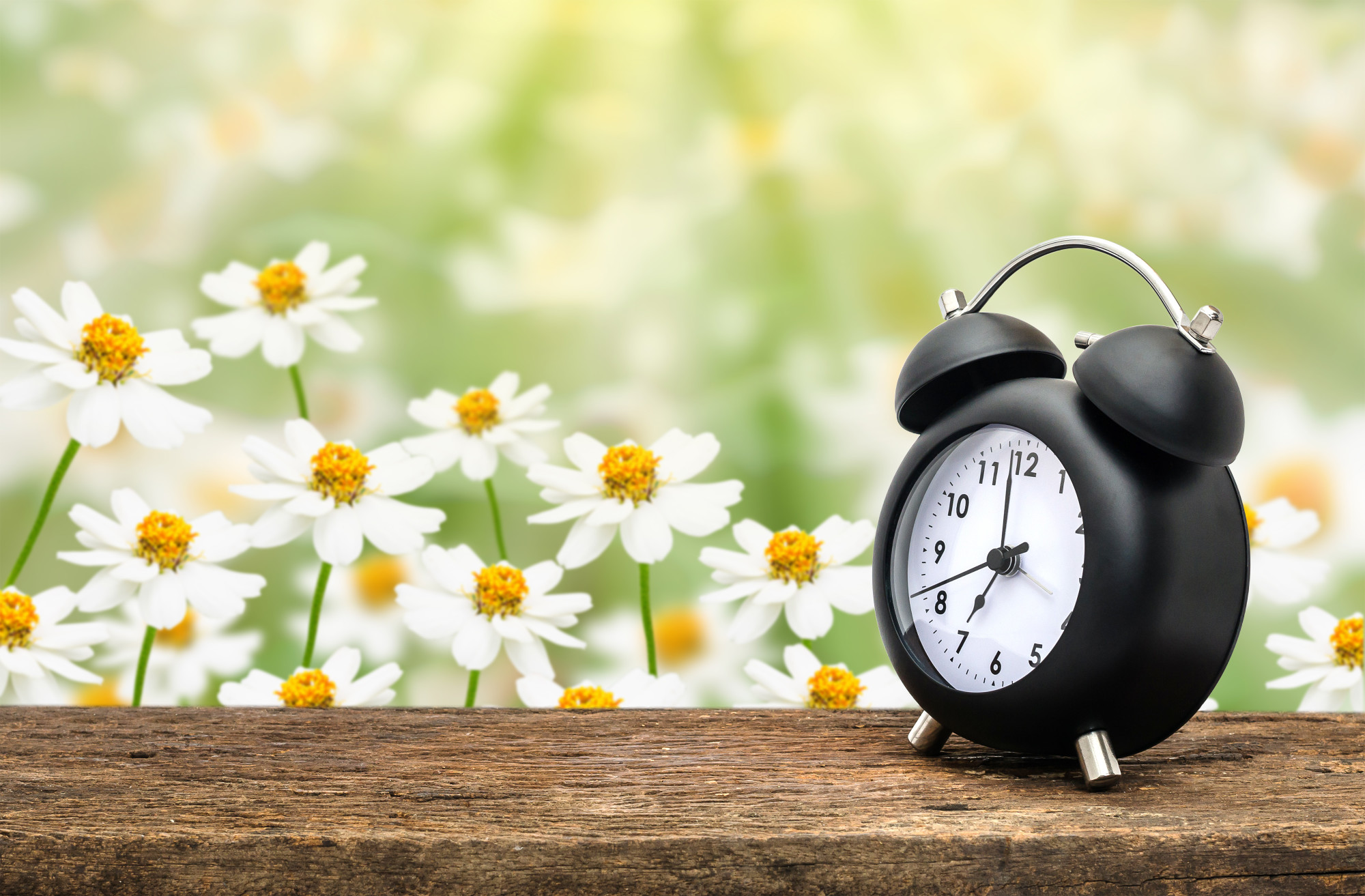 What Is Time Clock Software and the Benefits? TimeTrakGO