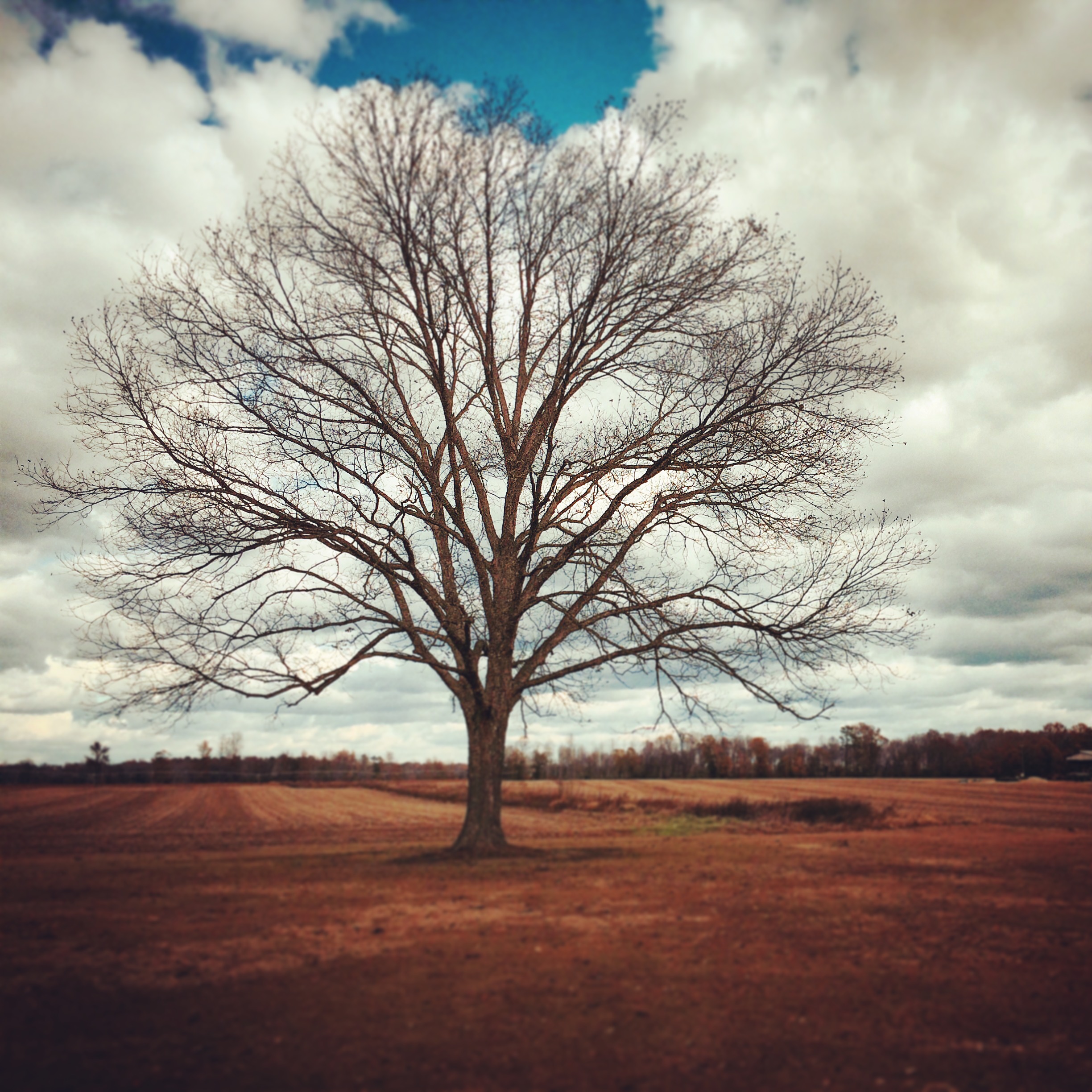 Tim Hamby FarmLife