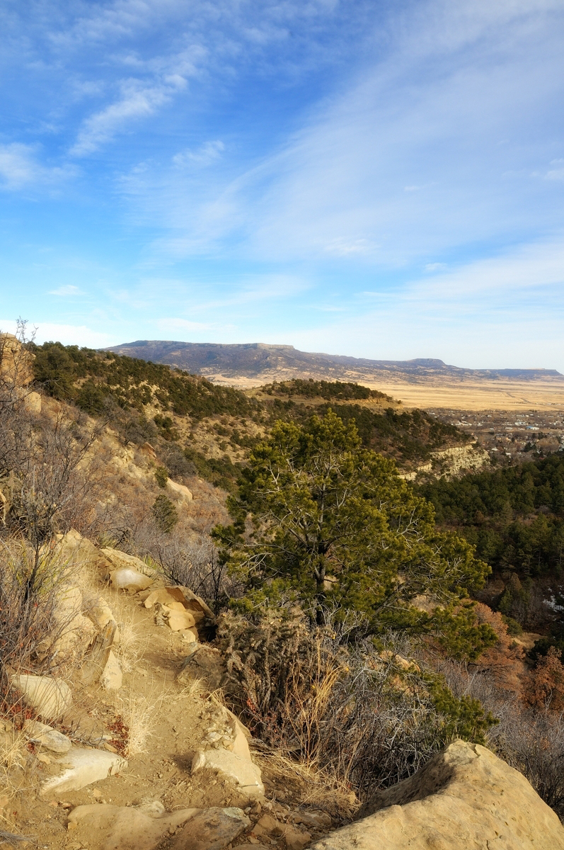 TKA Blog, Jan/Feb 2014